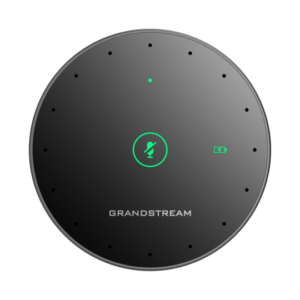 Grandstream GMD1208