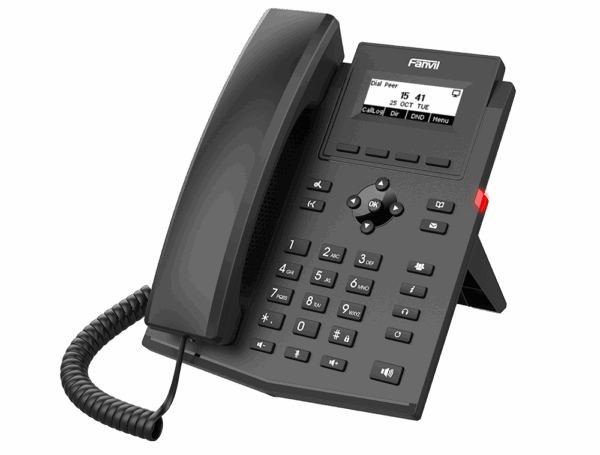X301P - Image 2